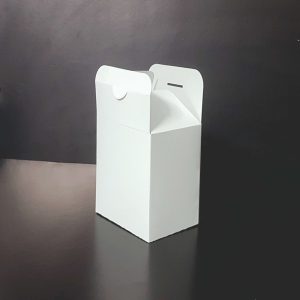 Cutii cartofi prajiti Delivery carton Alb neimprimat